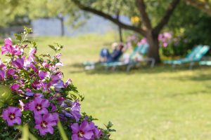 Relaxen im Höhenwirtgarten