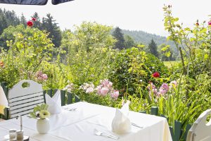 Überdachte Terrasse mit Karawankenblick